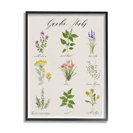 Stupell Industries Garden Herb Illustrated Chart Natural Kitchen Seasoning Framed Wall Art